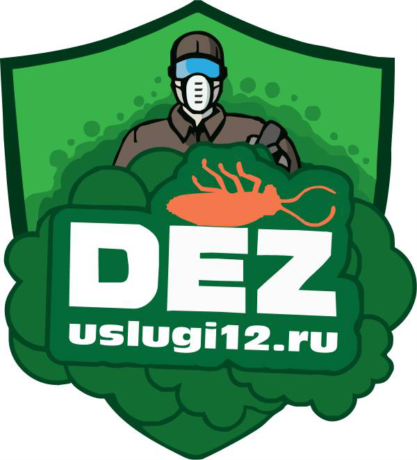 DezUslugi12
